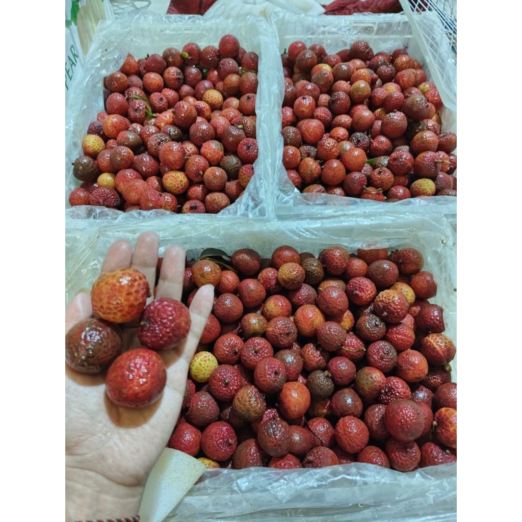 

leci merah warna campur 1kg