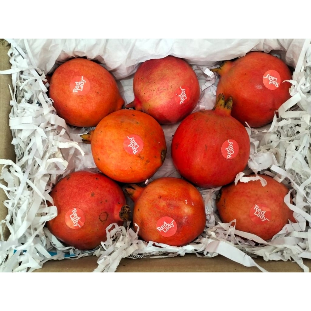 

buah delima import fresh per 1 buah