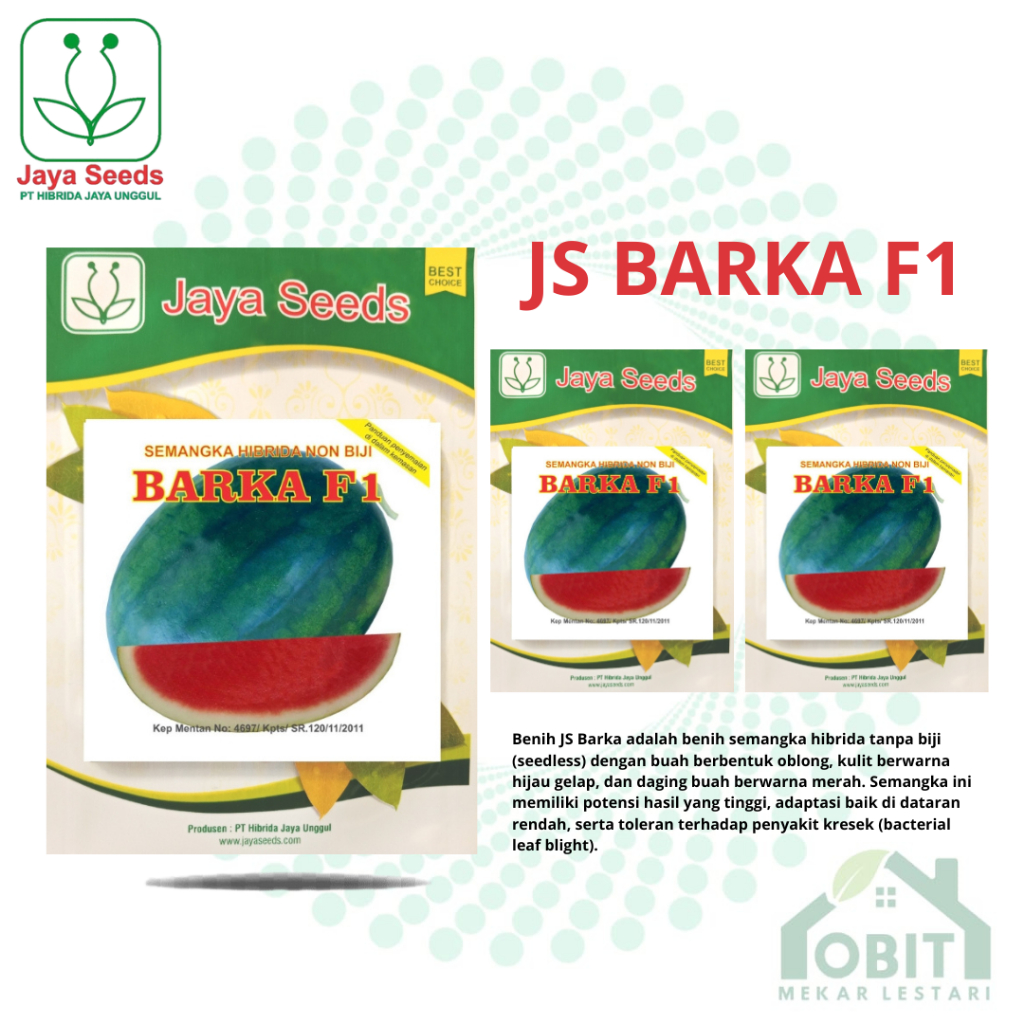 BARKA F1 Semangka Merah Hibrida Non Biji - 300 biji ORIGINAL Jaya Seeds ORIGINAL KEMASAN PABRIK