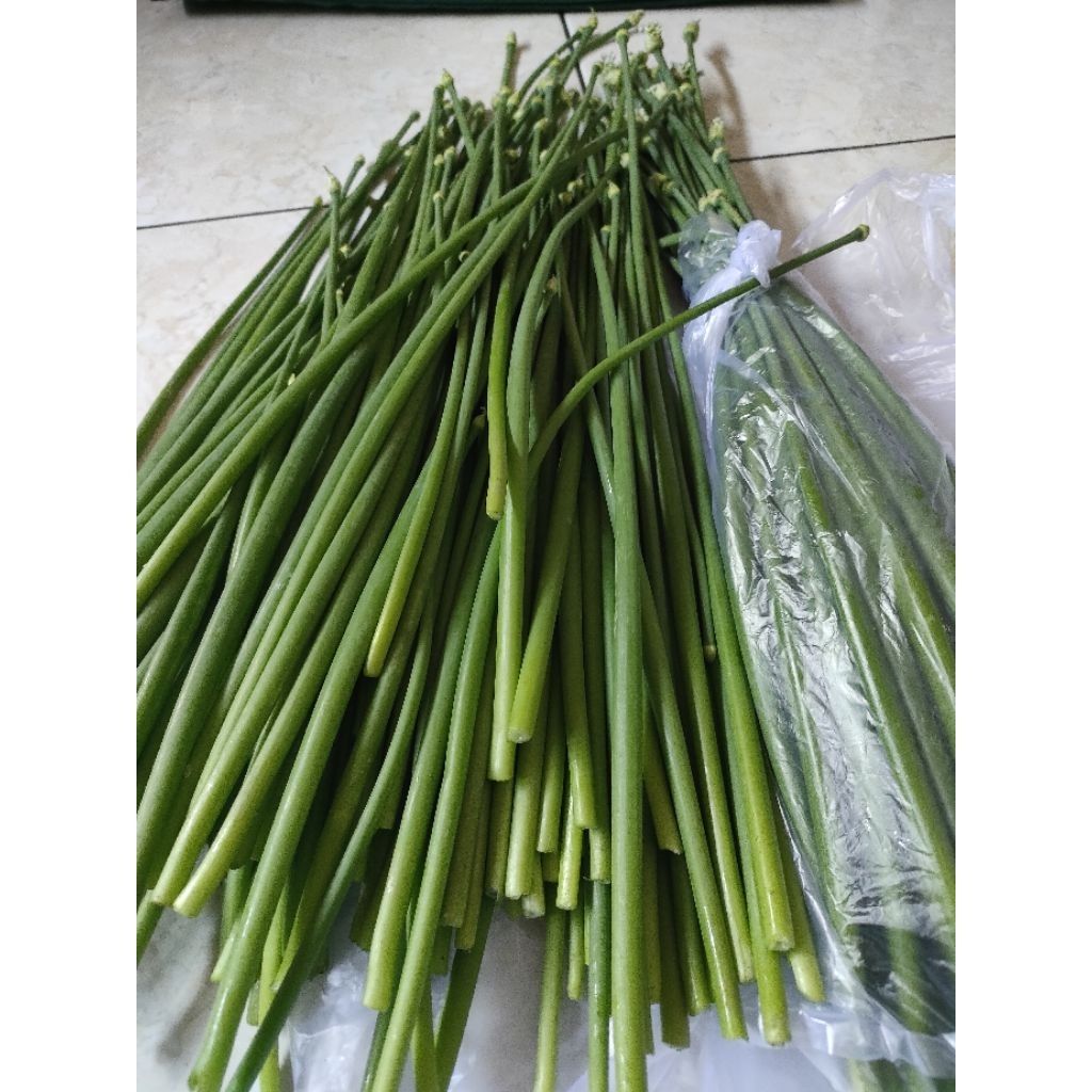 

Bunga Bawang Merah 250 gram