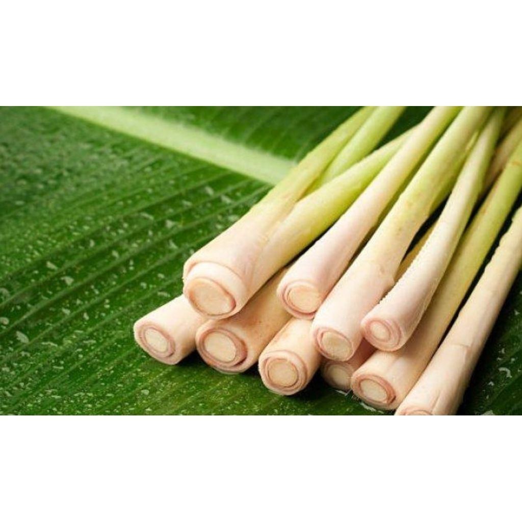 

bumbu dapur basah/serai 1kg fresh,segar