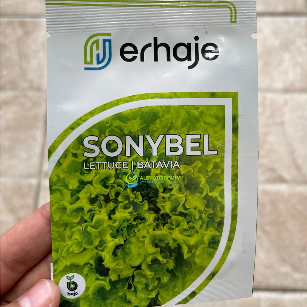 SONYBEL Naked - Benih Selada Batavia – Bejo Seeds / Erhaje (pengganti benih MYRTEL)