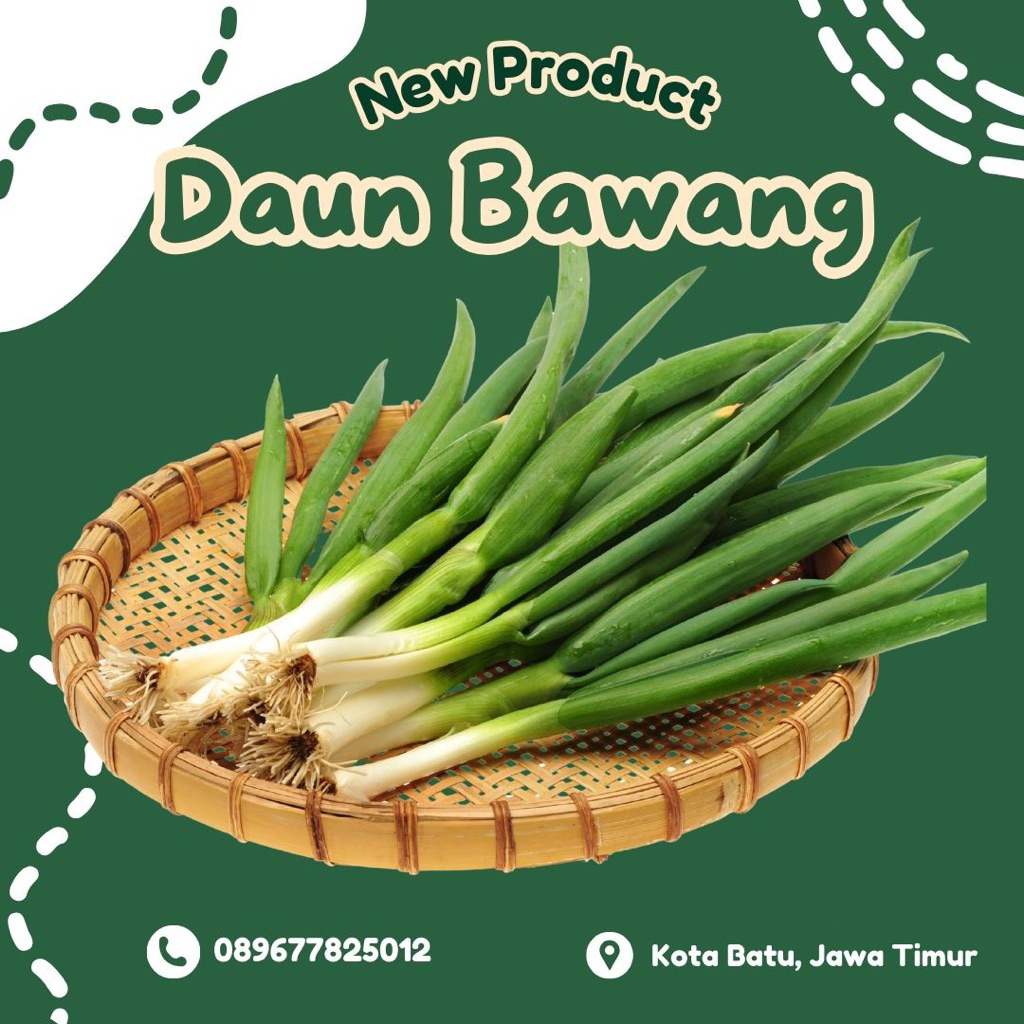

Daun Bawang 1 Bentel