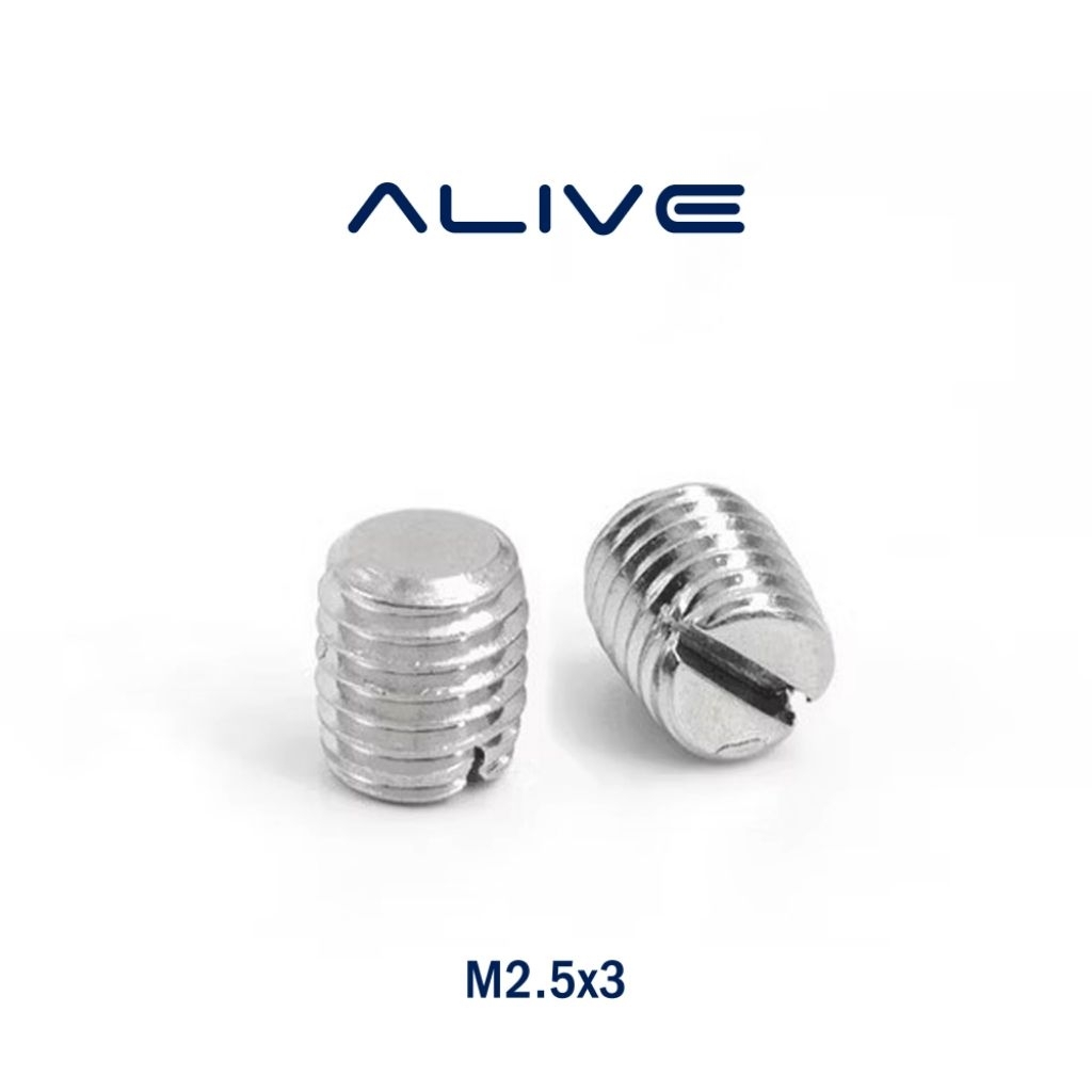 Baut Minus Tanam M2.5x3 Flat Slotted Set Screw