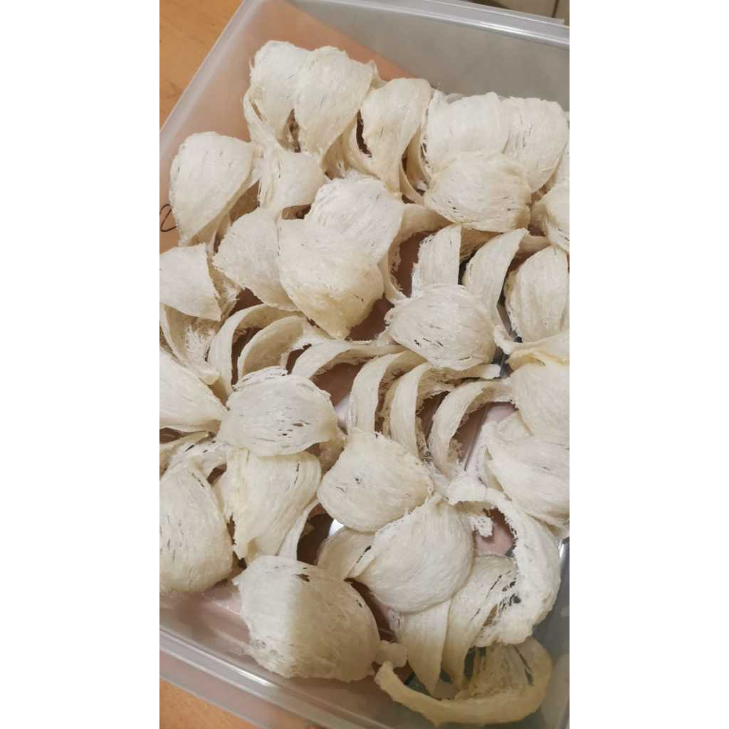 

Sarang burung walet mangkok VVIP cabut kering gan tiao kan diao swallow birdnest bird's nest