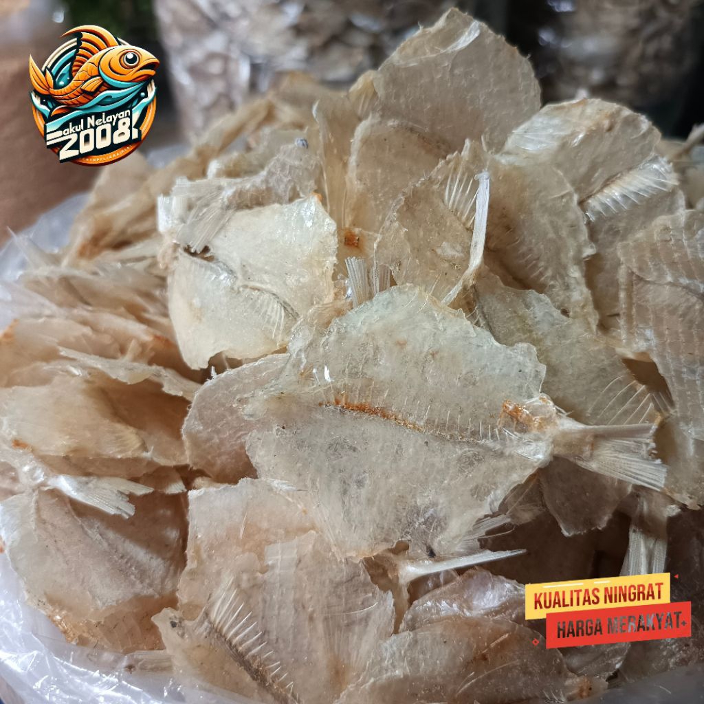 

Ikan kapasan super | ikan tawar