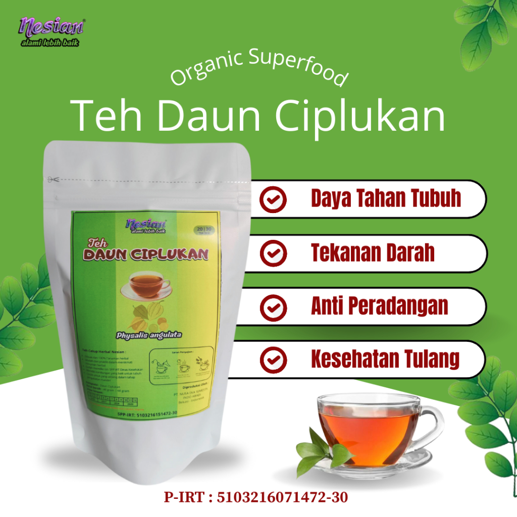 

NESIAN TEH DAUN CIPLUKAN | TEH HERBAL | PHYSALIS ANGULATA L. ATAU MINIMA L. | 20 KANTONG TEH