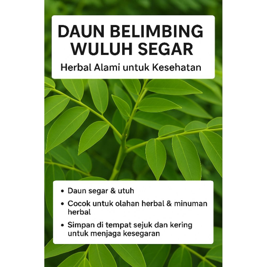 

Daun Belimbing Wuluh Segar | Daun Herbal Tradisional | Daun Belimbing Asem