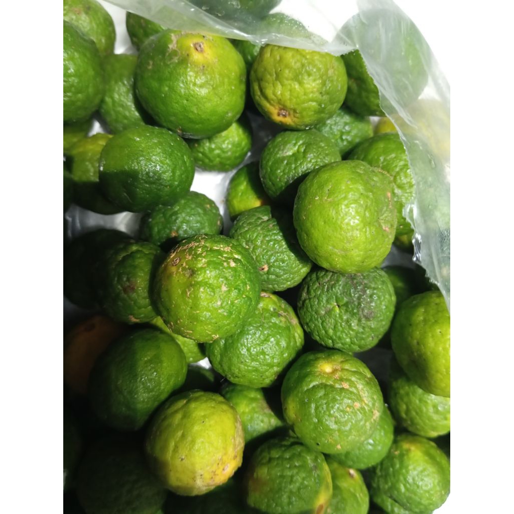 

jeruk limau fresh promo panen