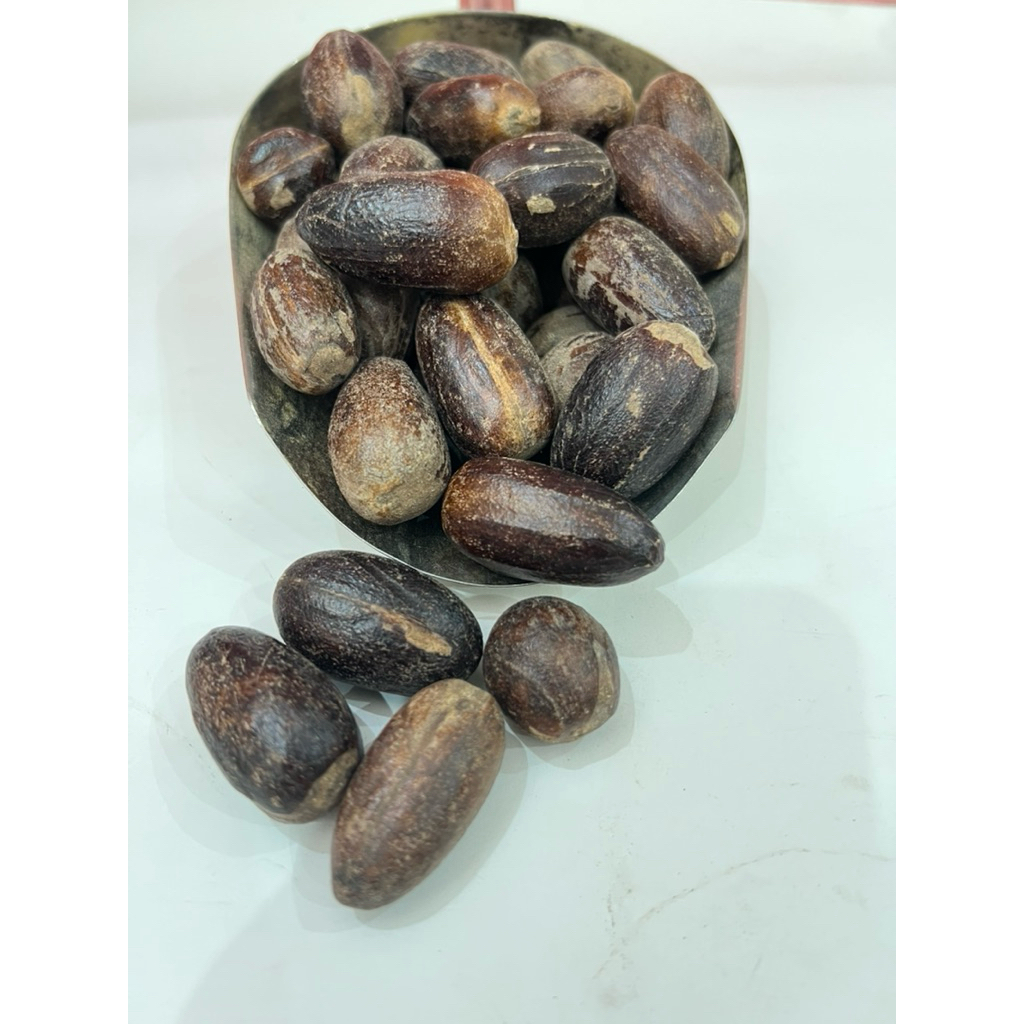 

Biji pala kocak Lonjong Berat 100gr / Pala Kocak Lonjong kemasan 100gr