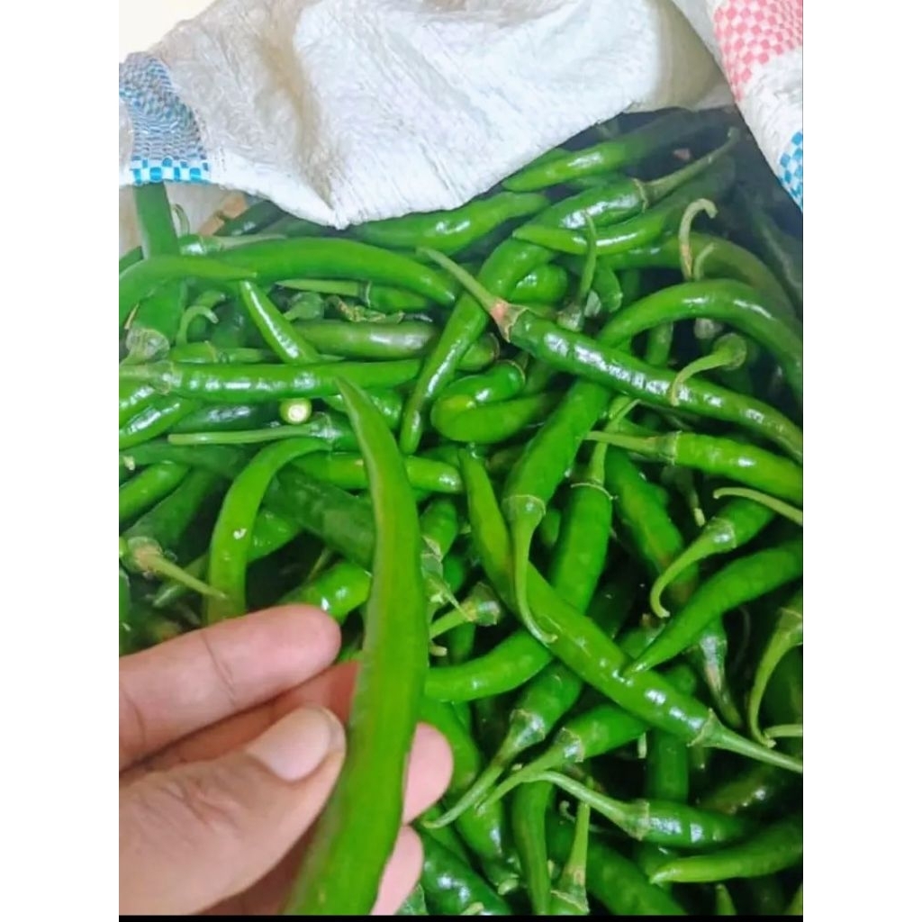 

cabe hijow tw beauty pedas 1kg fresh