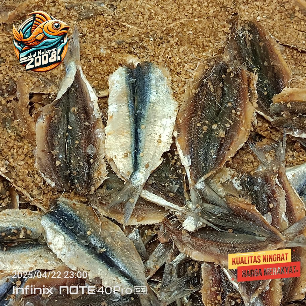 

Ikan Deng deng manis