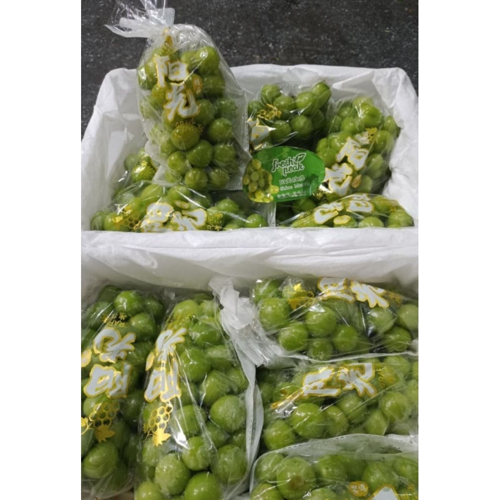 

anggur muscart muscat hijau dijamin fresh dan segar grosir 5kg