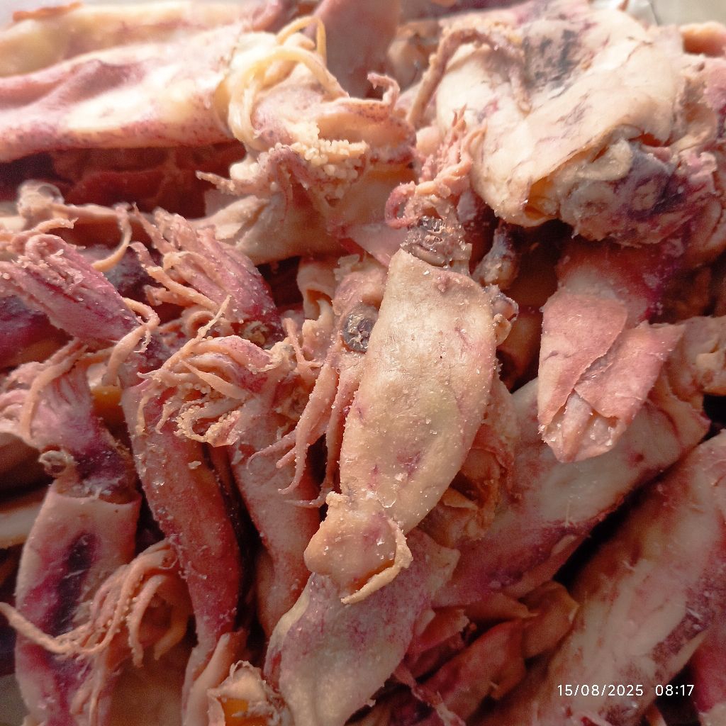 

promo ikan asin cumi kering murah