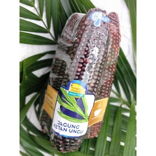 

[TERMURAH] Nandori Garden Jagung Ketan Ungu Kupas Bersih/Pipil 250g