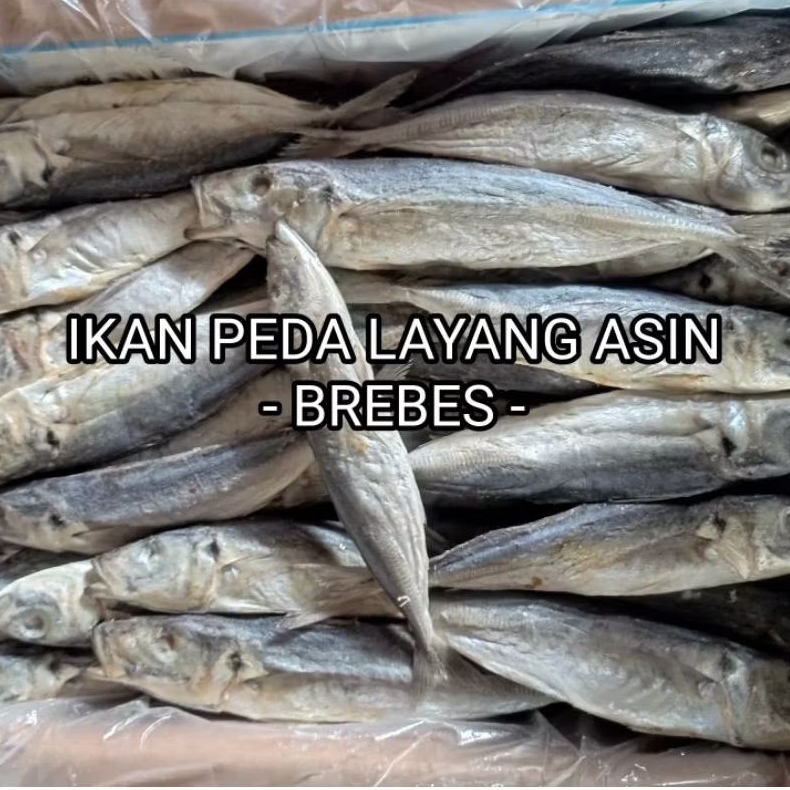 

IKAN PEDA LAYANG ASIN 100 GRAM (1 ONS)