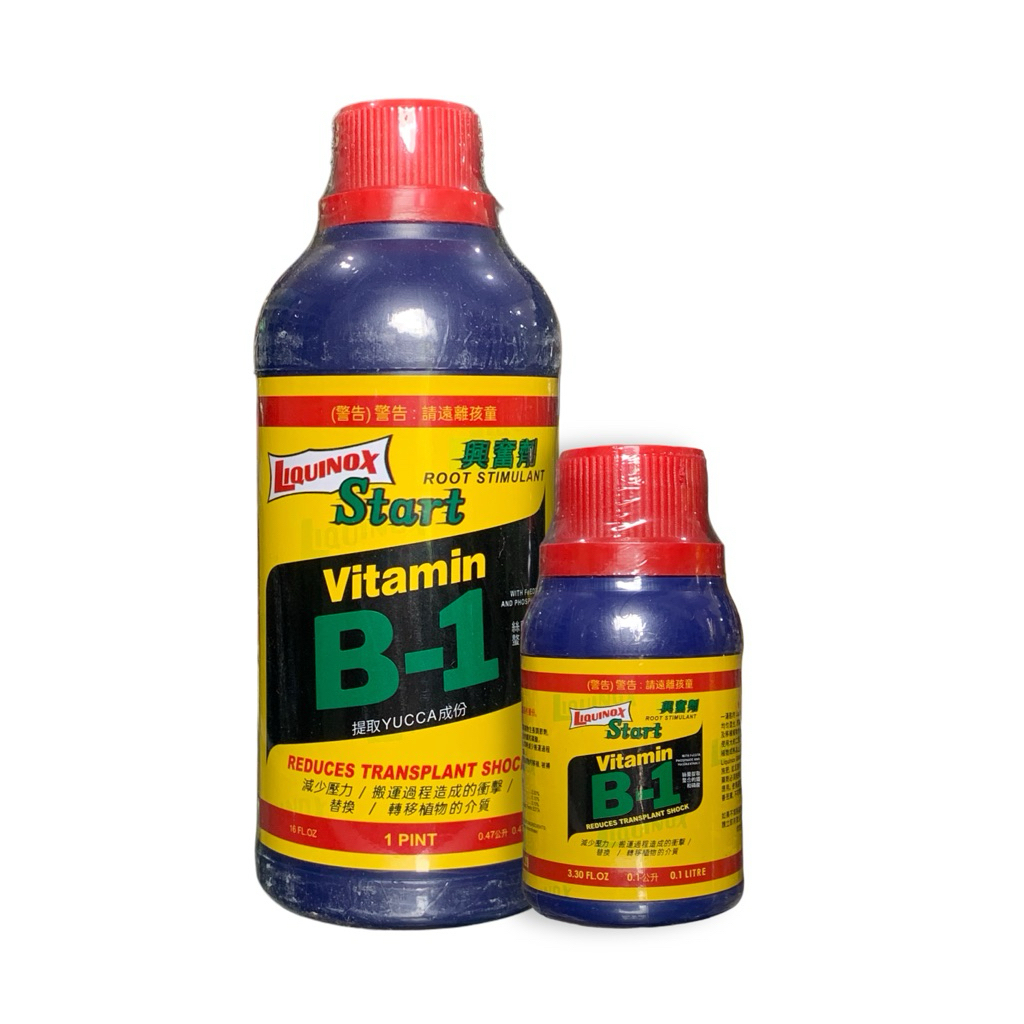 Liquinox Start Vitamin B1 (Import) – Perangsang Akar & Anti Stres Tanaman