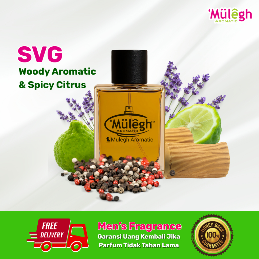 Mulegh Aromatic - SVG | Parfum Pria Best Seller Woody Aromatic Citrus