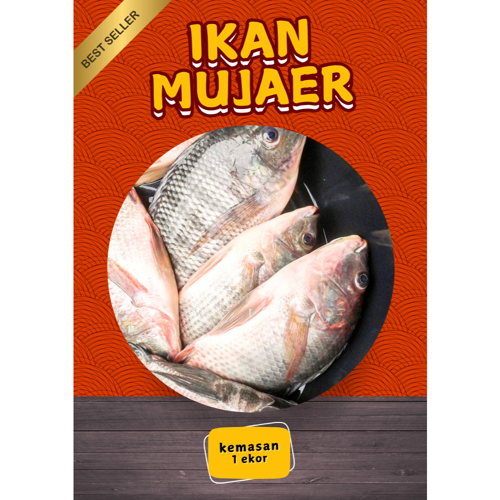 

Serbu makanan siap saji IKAN MUJAER [BEST SELLER] Frozen Fresh sudah dikemas Vacum Pack