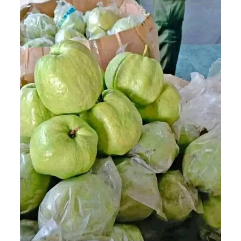 

BUAH JAMBU KRISTAL 1KG