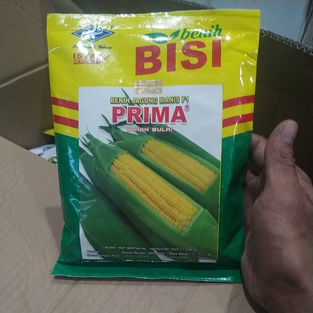 jagung manis prima 250gr jagung manis f1 Prima