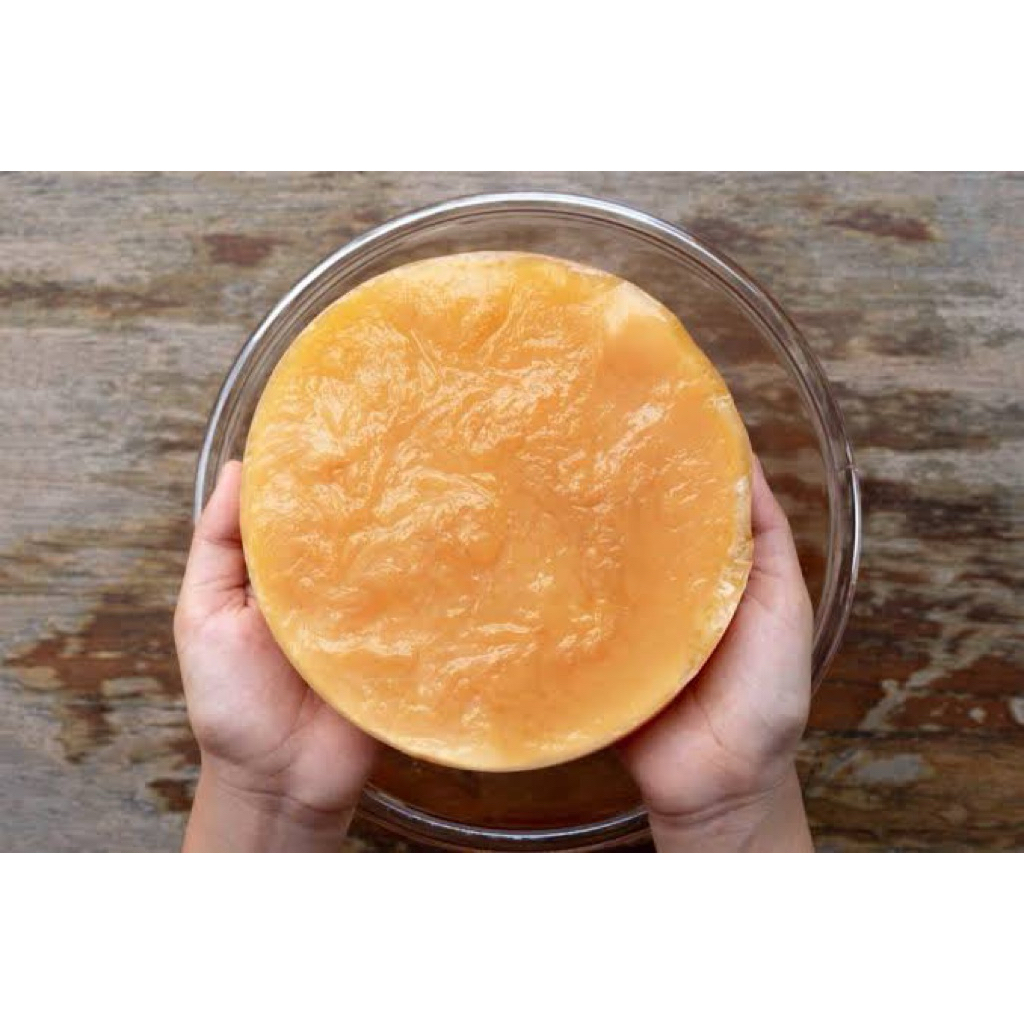 

SCOBY KOMBUCHA SUPER JUMBO+STARTER 100ml