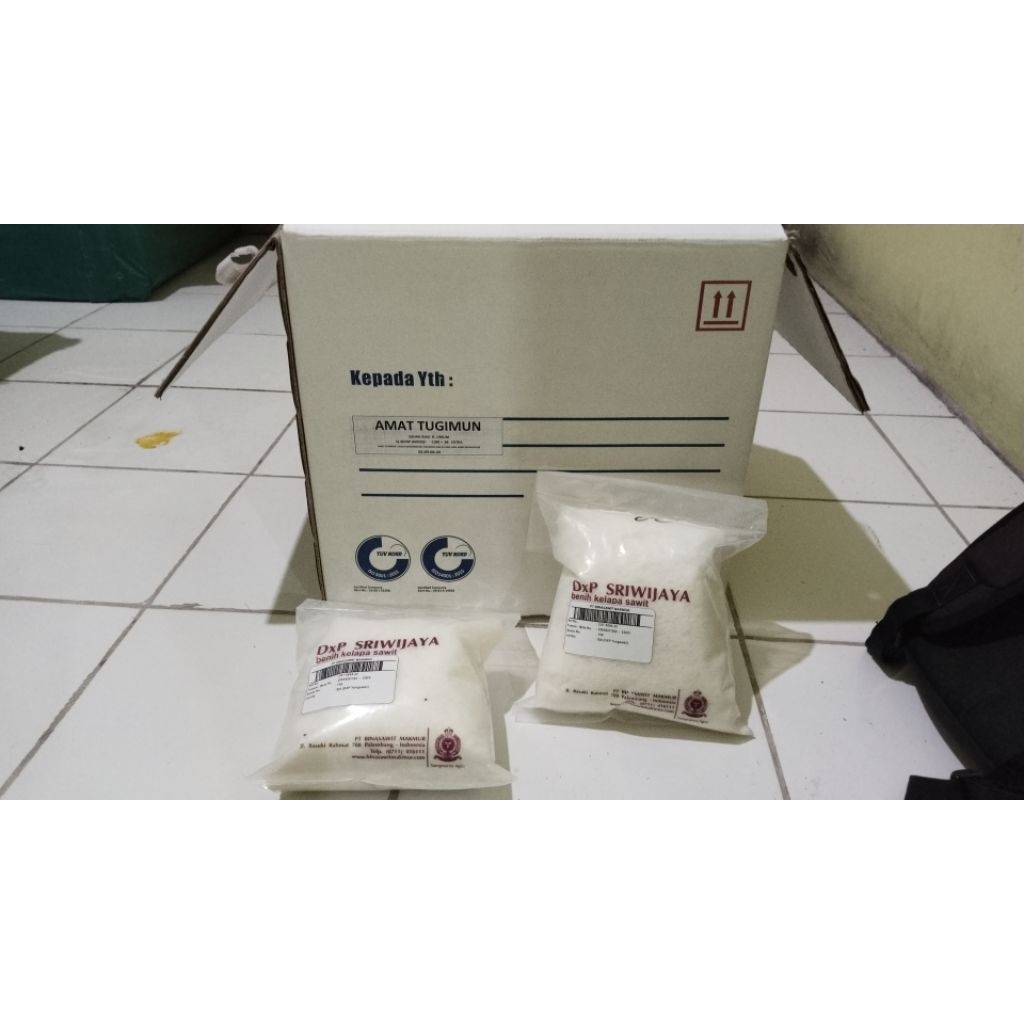 

KECAMBAH SAWIT SRIWIJAYA