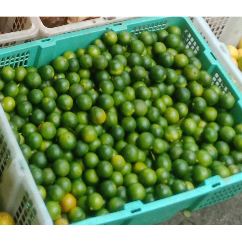 

1 KG JERUK SONKIT JERUK KASTURI JERUK KUNCI (HARAP BACA DESKRIPSI)