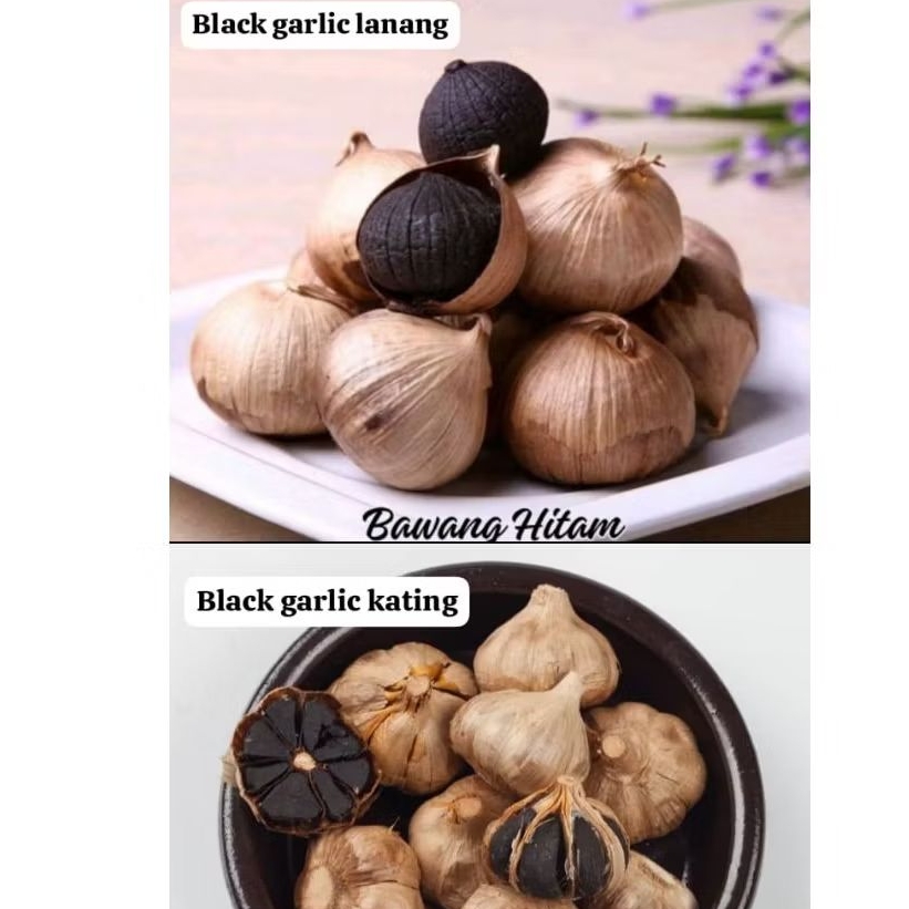 

BELI 3 GRATIS 1 PROMO 250Gram BAWANG HITAM BLACK GARLIC |Black garlic HSD | Black garlic JOS | Solo black garlic