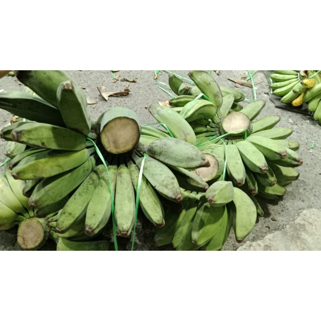 

PISANG KEPOK KUNING JUMBO