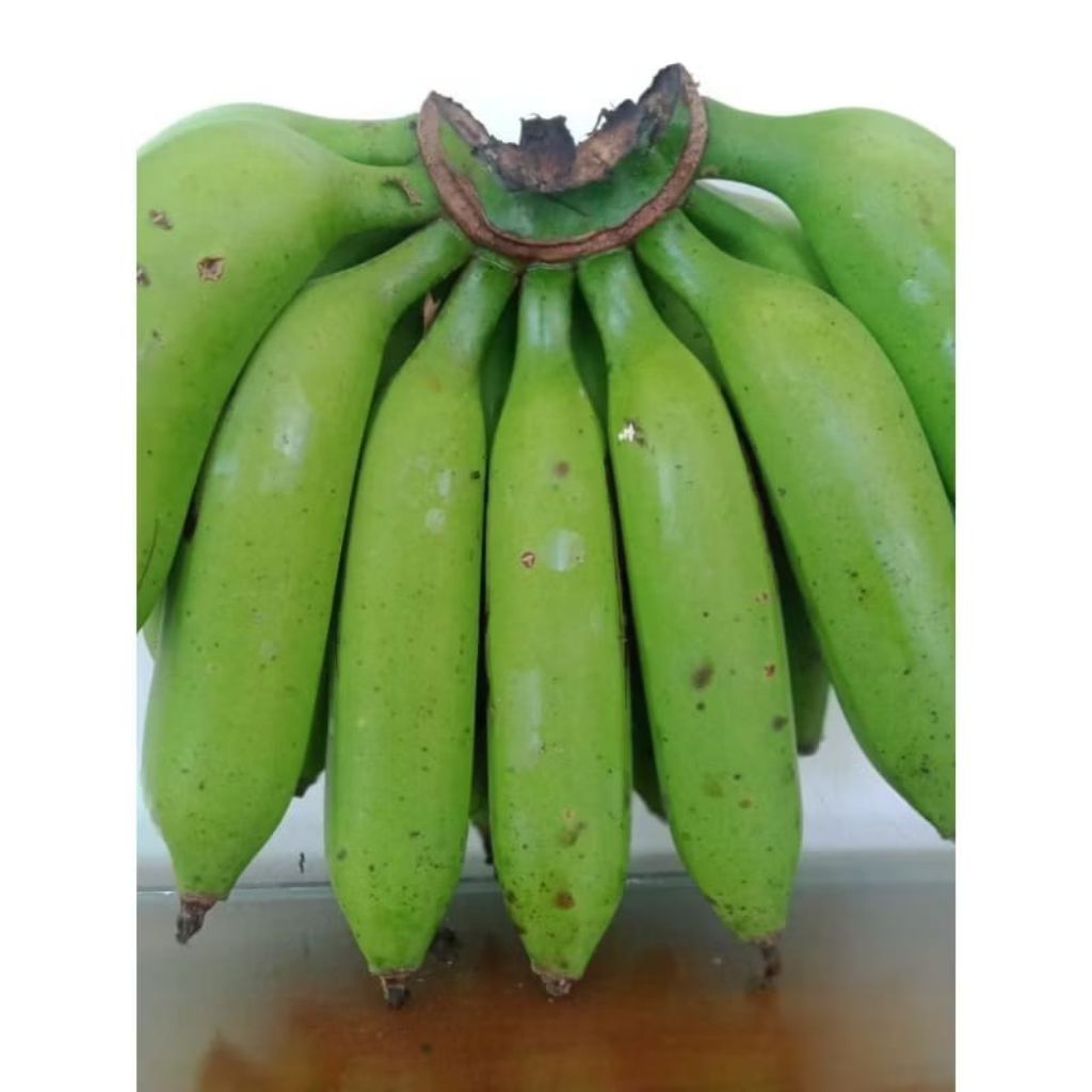 

Pisang Janten Tua 5 KG