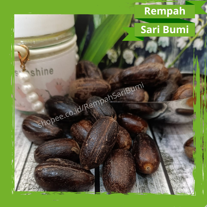 

Biji Pala Export Quality Biji Pala Berkualitas