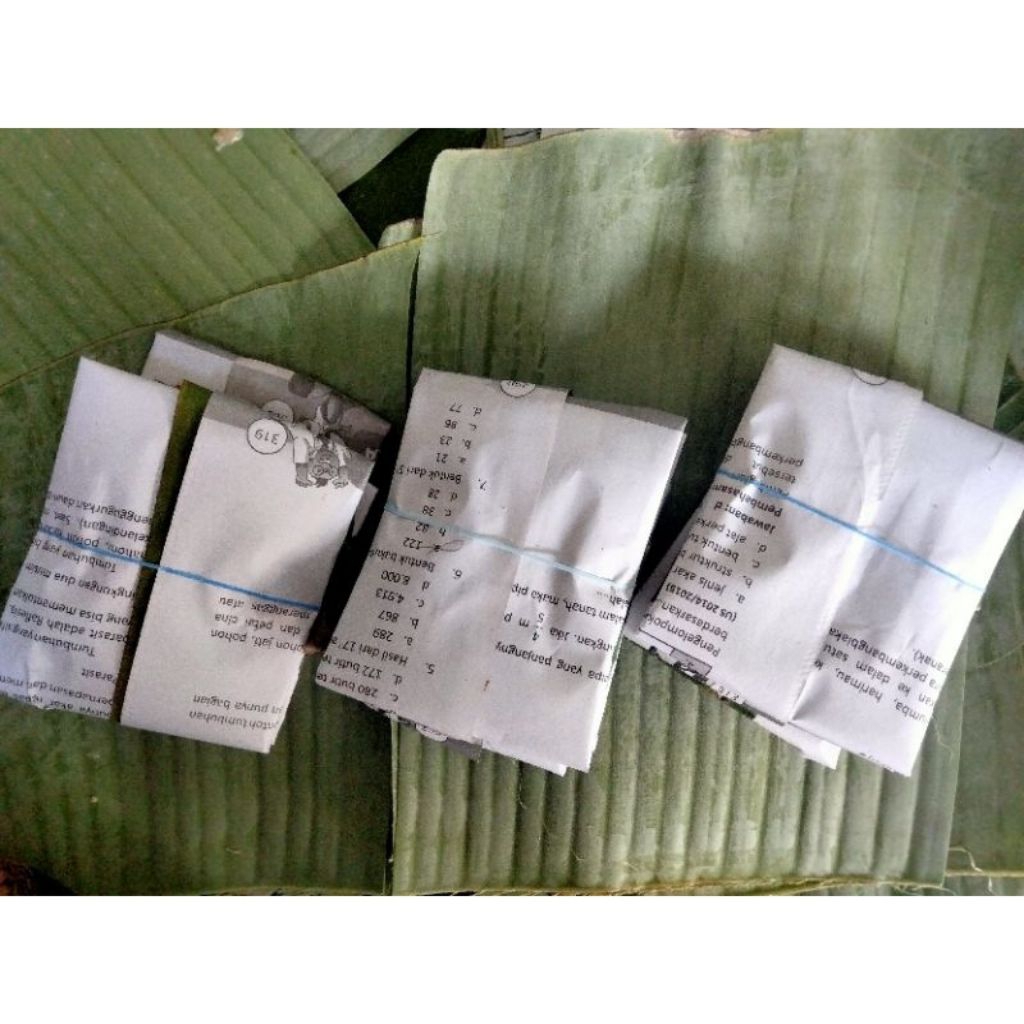 

Tempe Daun Pisang Kedelai Murni 100%