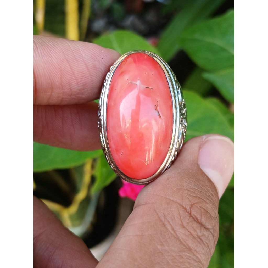 Natural Batu Akek Marjan size 8-9