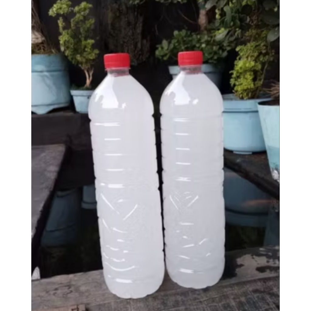 

Paket minuman Air Legen Khas Tuban Dua Botol(3 liter) Bonus Trasi Udang Khas Tuban (Aman Kirim Kemana Saja, Dilapisi Plastik Fearst Anti Meletus)