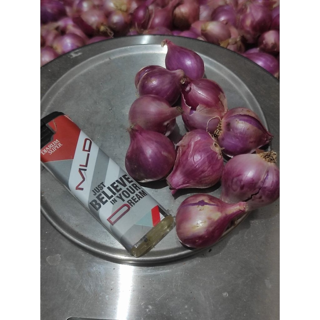 

Bawang Merah Lokal Kering Berkualitas kemasan 500gr