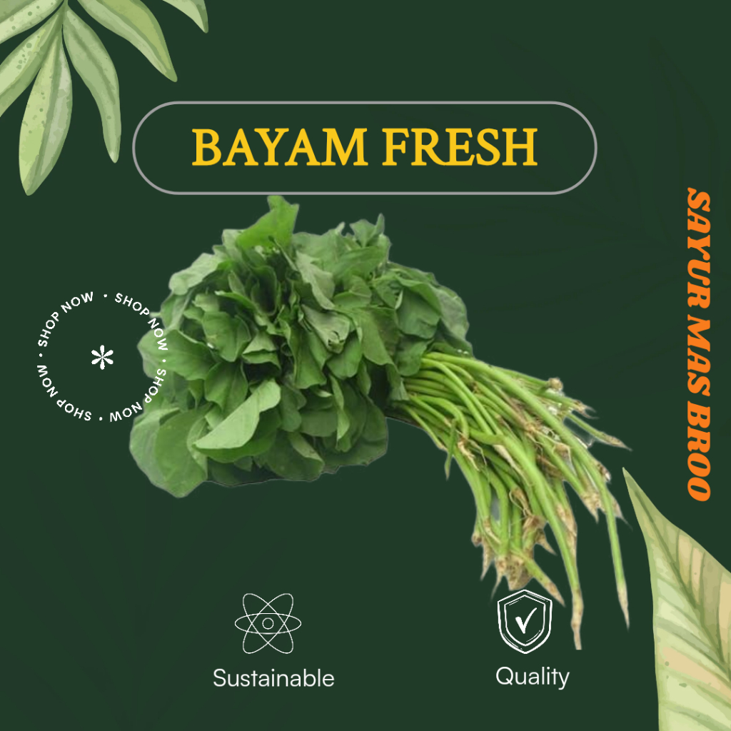 

Sayur Bayam Per Ikat - Toko Sayuran Mas Broo Palembang