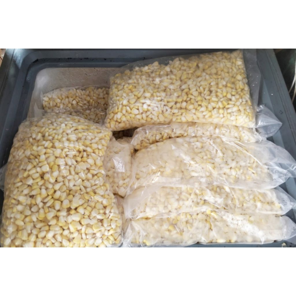 

Jagung Pipil Muda Manis Mentah Segar 1kg