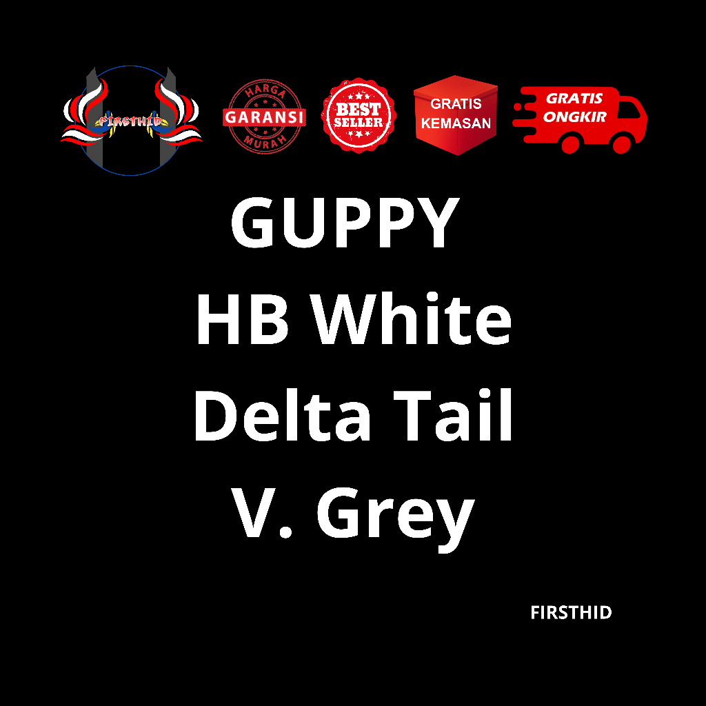 Aksesoris Akuarium GUPPY Half Black (HB) White Delta Tail gen carrier Ribbon Fin C