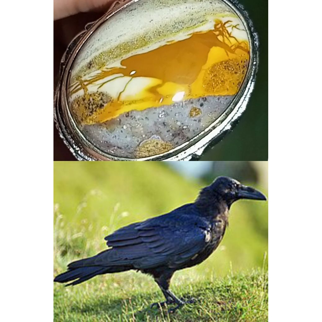 Natural Batu Pancawarna Garut Gambar Burung