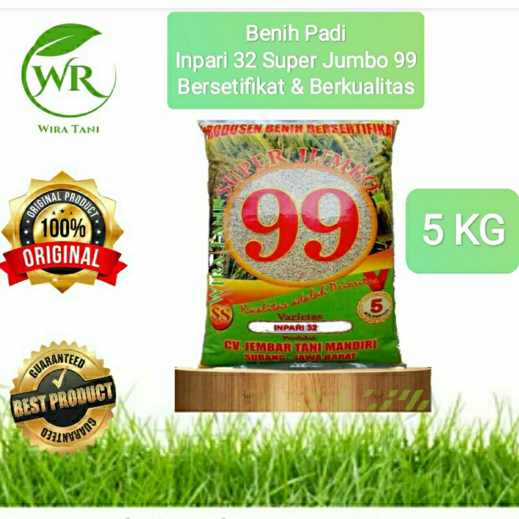 benih padi inpari 32 super jumbo subang 99 bersertifikat (label ungu)