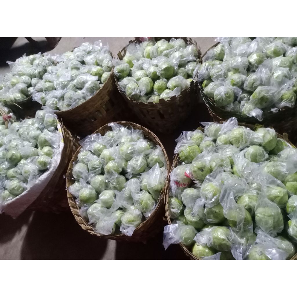 

Jambu kristal kemasan 2kg Lebih hemat