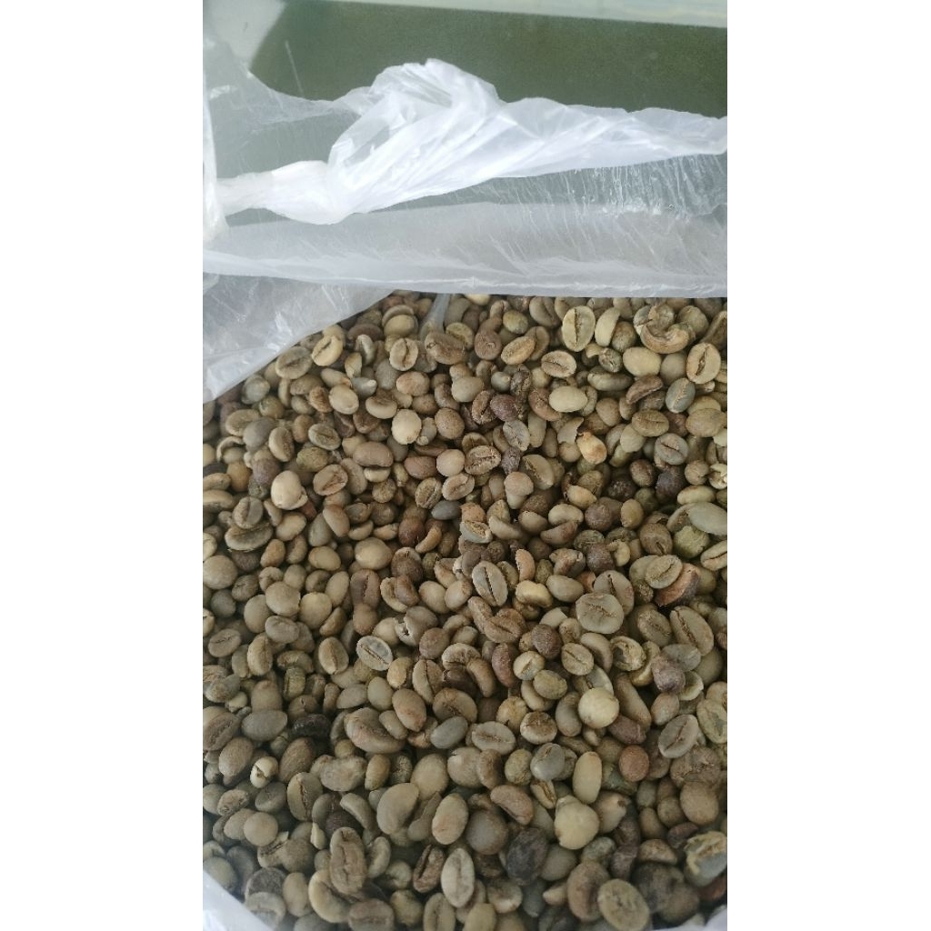 

kopi robusta kalibaru