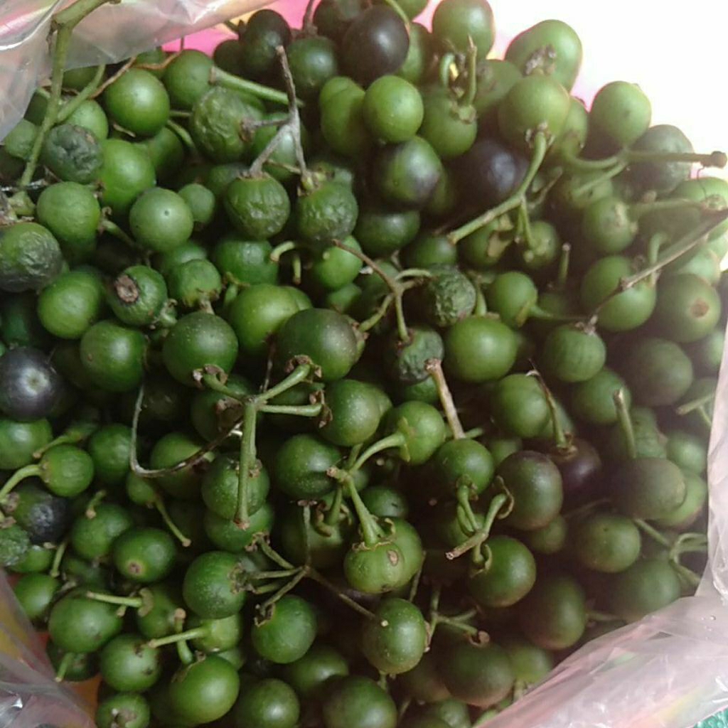 

Sayur Leunca Lenca / Ranti / Lumai segar