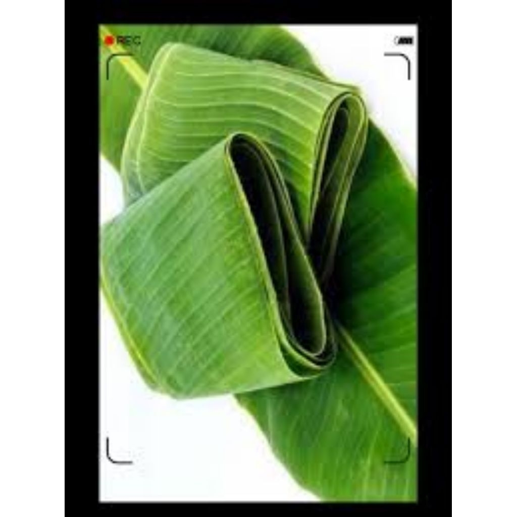 

1kg daun pisang kepok asli