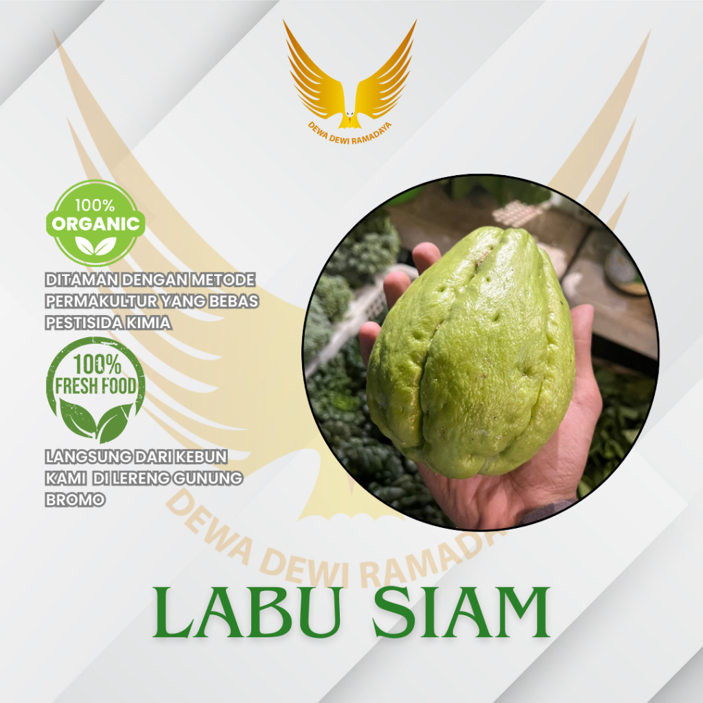 

Labu Siam Dewa Dewi Rama Daya