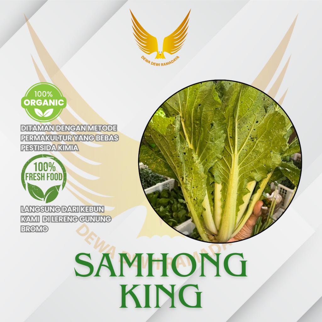 

Sawi Samhong Organik Dewa Dewi Rama Daya