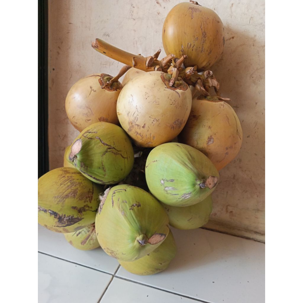 

kelapa muda dari baduy