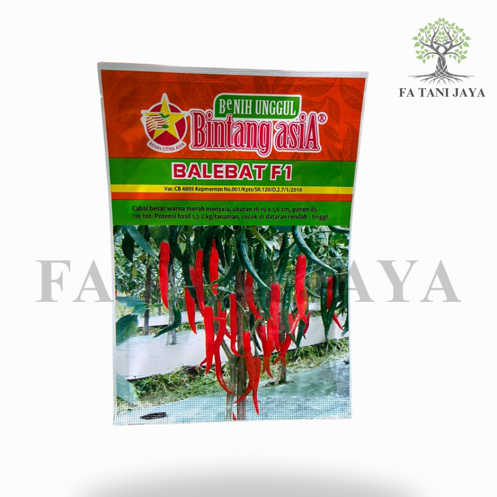 Benih cabai besar merah Balebat F1 Bintang Asia 10 gram