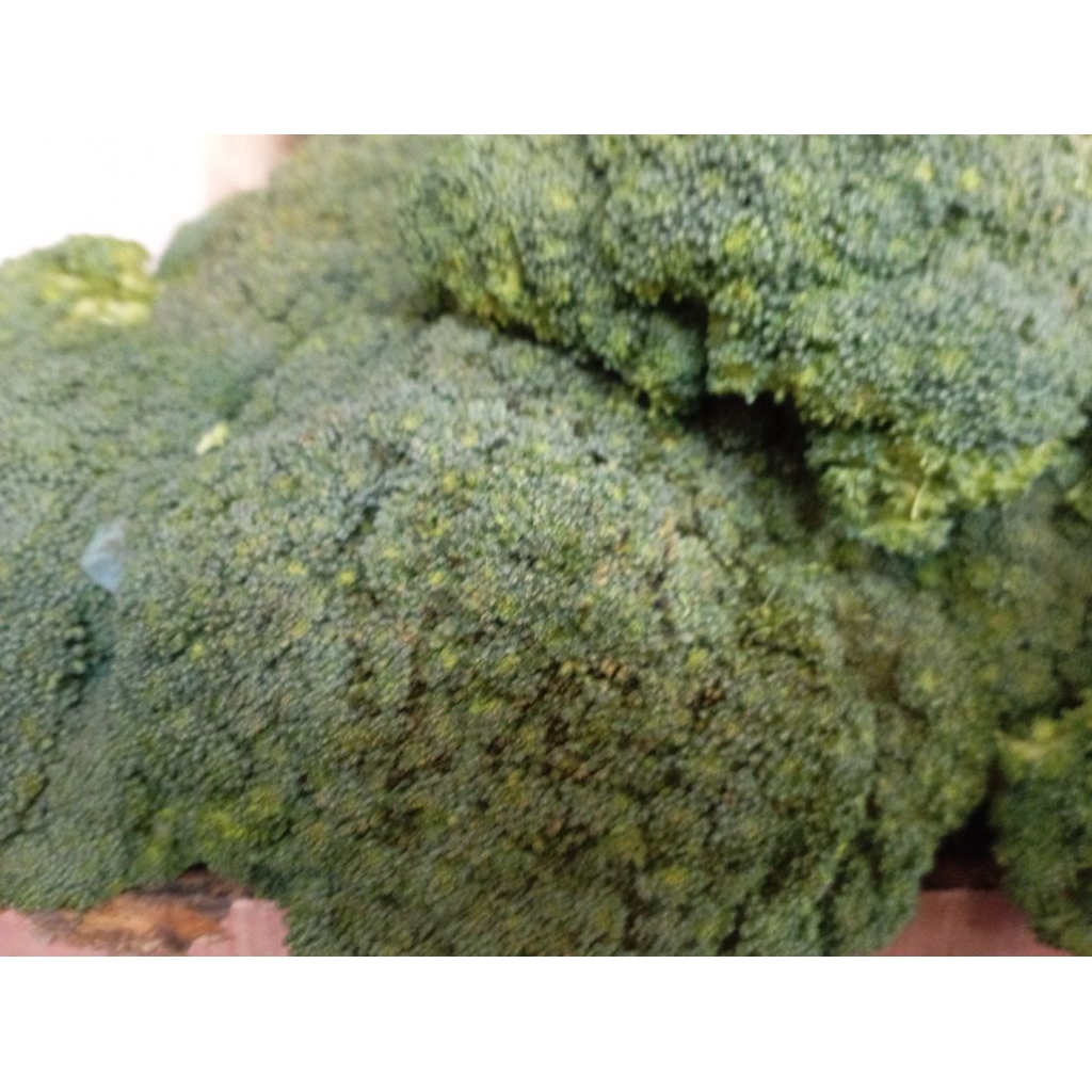 

Sayur Brokoli hijau segar